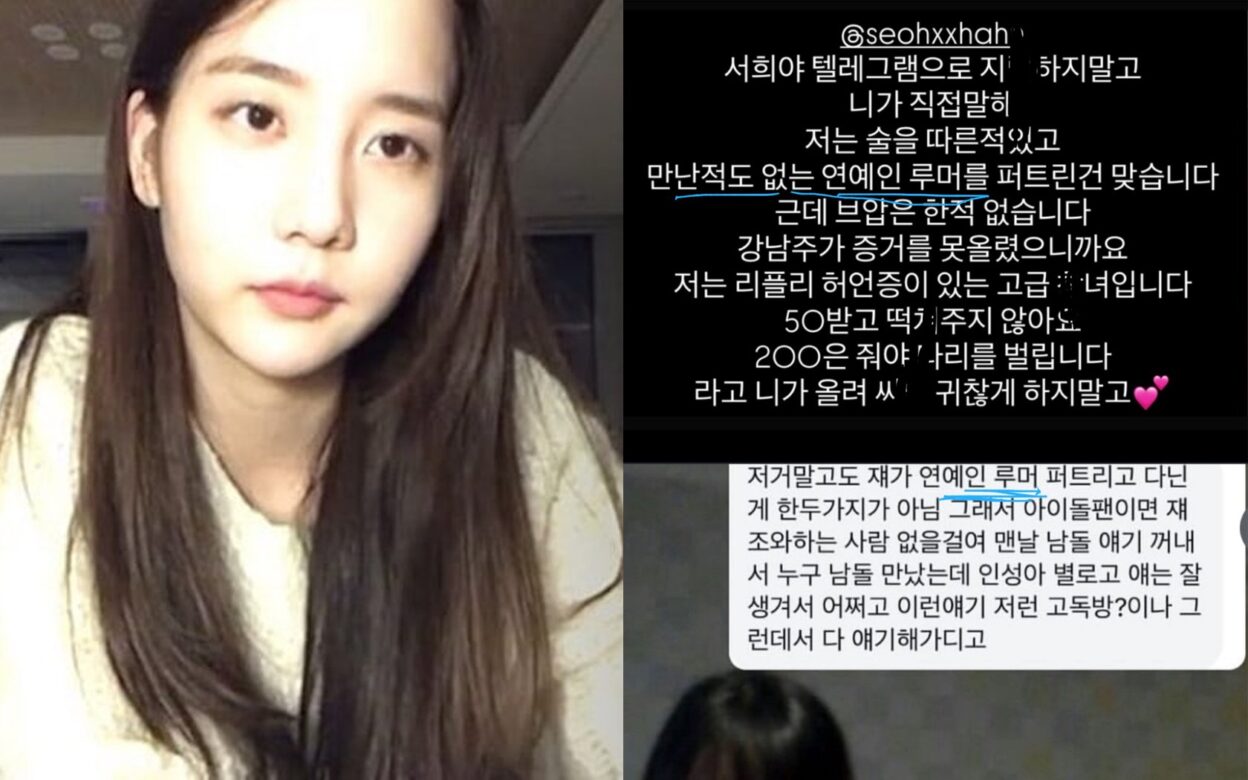 Netizen exposes Han Seo Hee for spreading false rumors about various idols