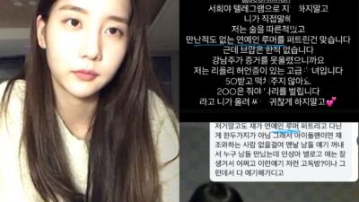 Netizen exposes Han Seo Hee for spreading false rumors about various idols