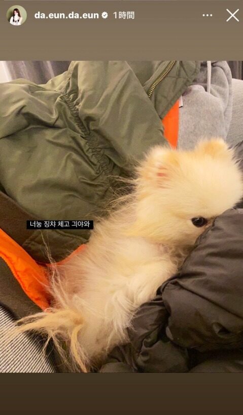 Viral Compilation Presents Extensive "Evidence" Alleging Relationship Between BTS's Jimin And Song Da Eun 1 AVvXsEiu8L5hOr2_izkIEU3HHDV12EWV