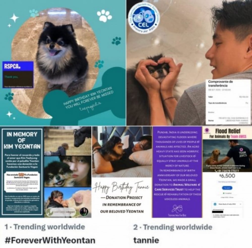 Global Fans Pay Tribute to BTS V’s Late Dog Yeontan Through Donations to Animal Charities 3 Fans donating in Yeontan's name