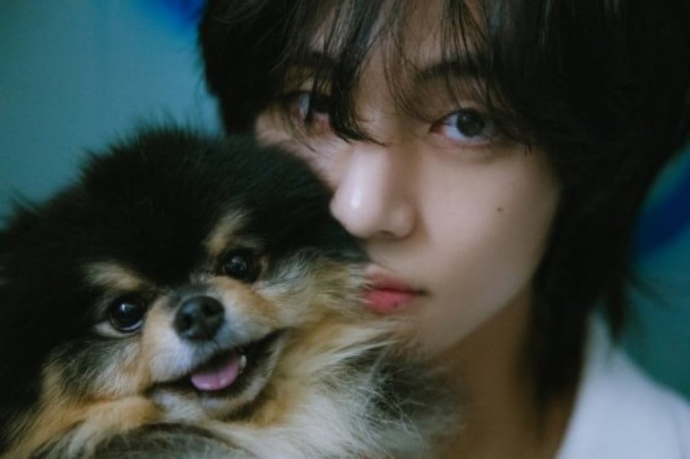 Global Fans Pay Tribute to BTS V’s Late Dog Yeontan Through Donations to Animal Charities 1 Yeontan with V