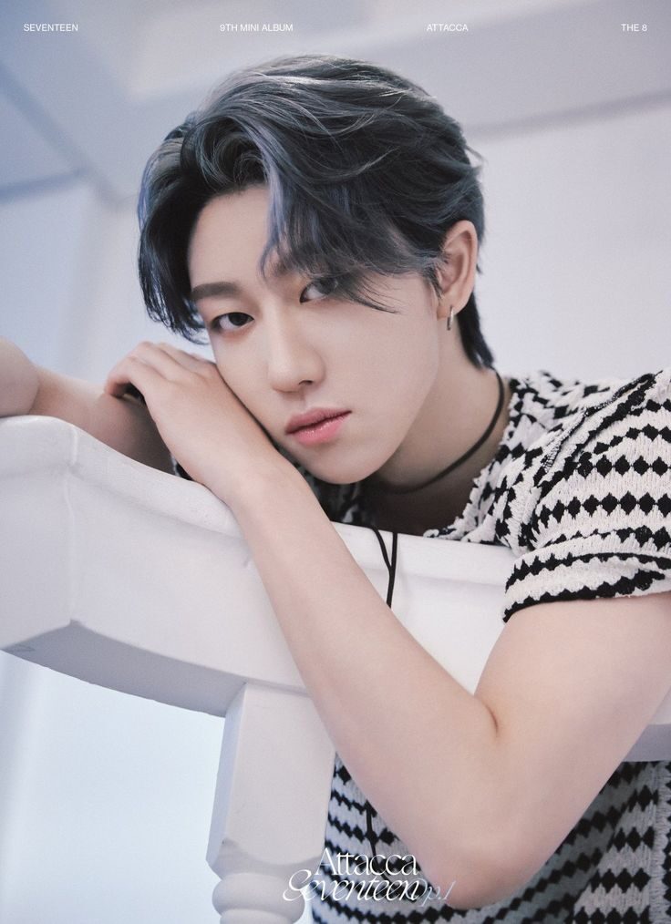 SEVENTEEN Fans Accused of Influencing Korean Chart Likes in Viral Post 2 seventeen the8