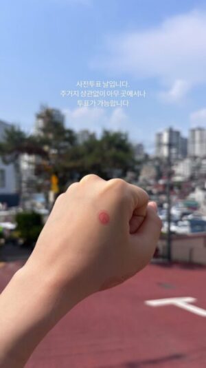 Lee Chaeyeon Voting