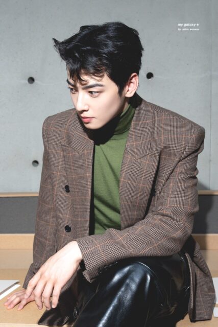 Cha Eunwoo Impresses With Unmatched Visuals Amid Scorching Summer Heat 3 cha7