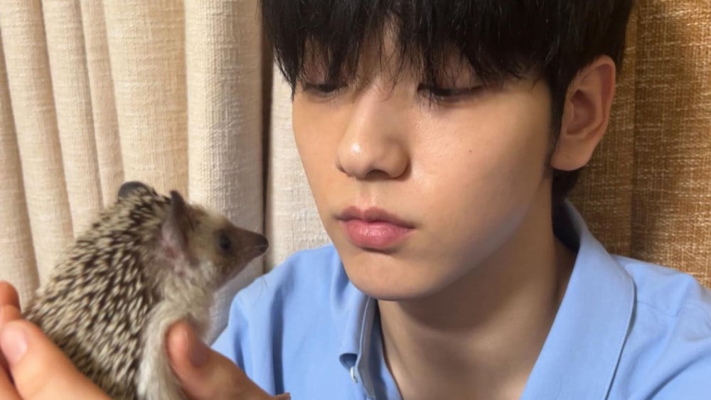 Soobin and Odi