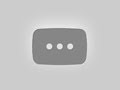 Hatsukoi DOGS Trailer