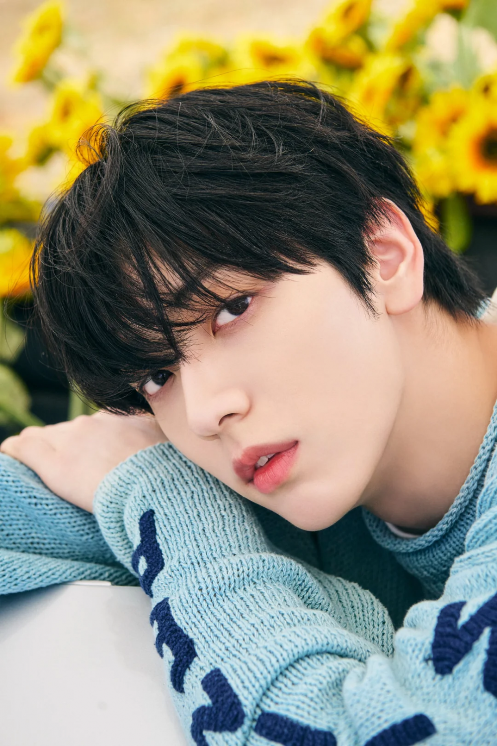 Concept Photo 9