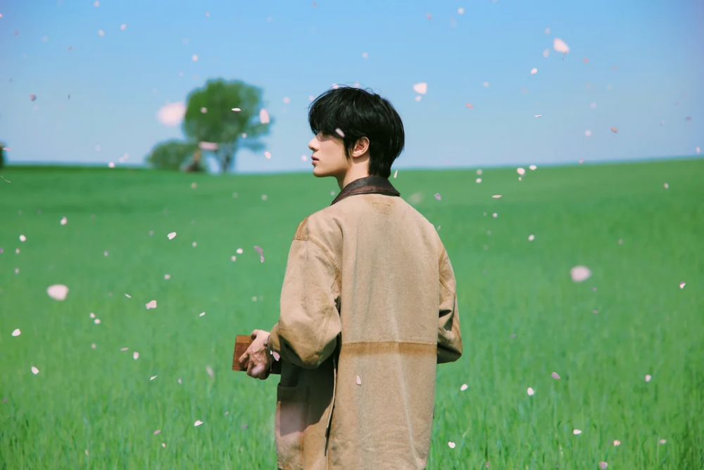 Concept Photo 20