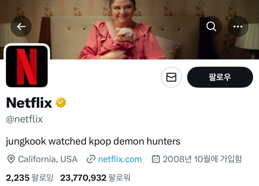 Netflix’s Reaction To An Idol’s Response To “K-Pop Demon Hunters” Goes Viral 2 Netflix bio mentioning Jungkook