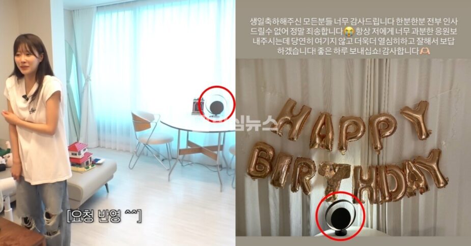 Lee Mijoo’s YouTube video and Lee Jin Young’s deleted Instagram