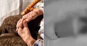 80-Year-Old Dementia Patient Sexually Assaulted By Longtime Neighbor— Public Left In Horror