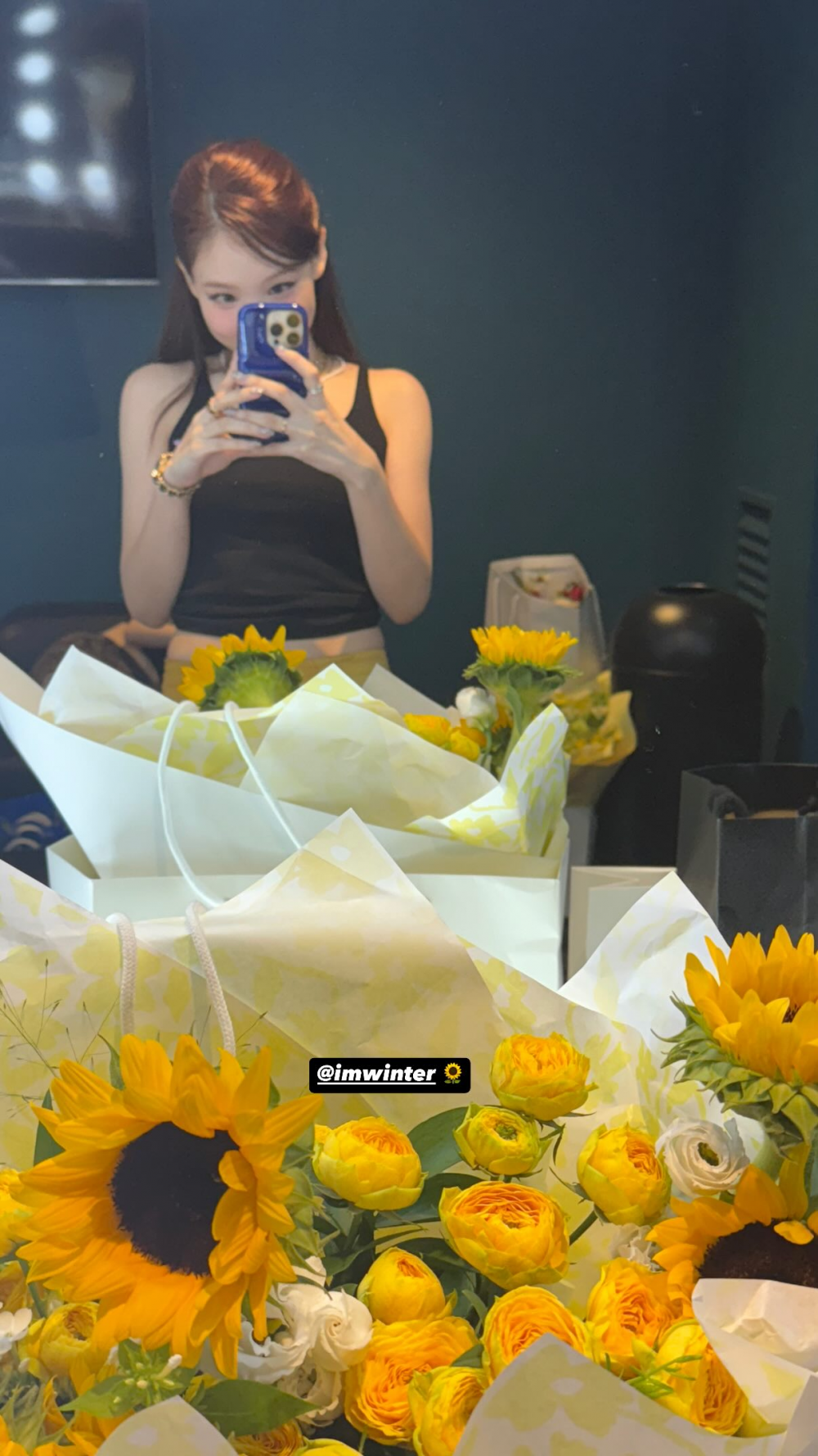 Winter's Instagram stories