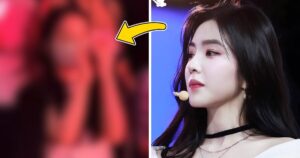 Red Velvet's Irene Caught Breaking The Rules At BLACKPINK's Concert, Photo Goes Viral