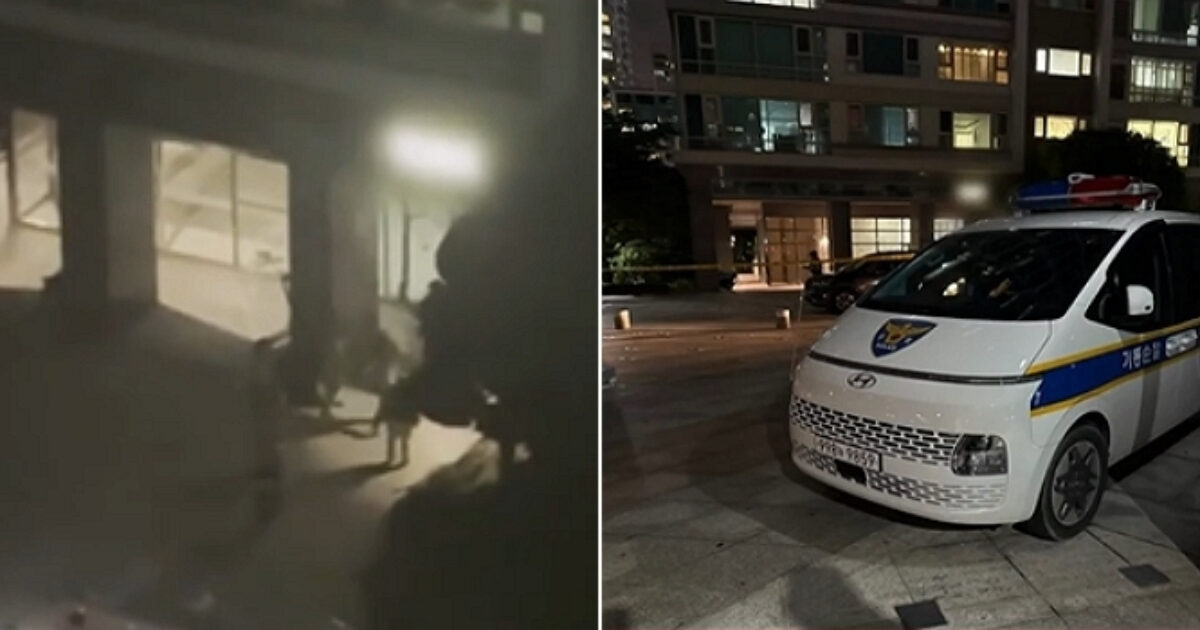 A Shooting In Korea: Chilling News of Father Killing Son Shakes The Nation