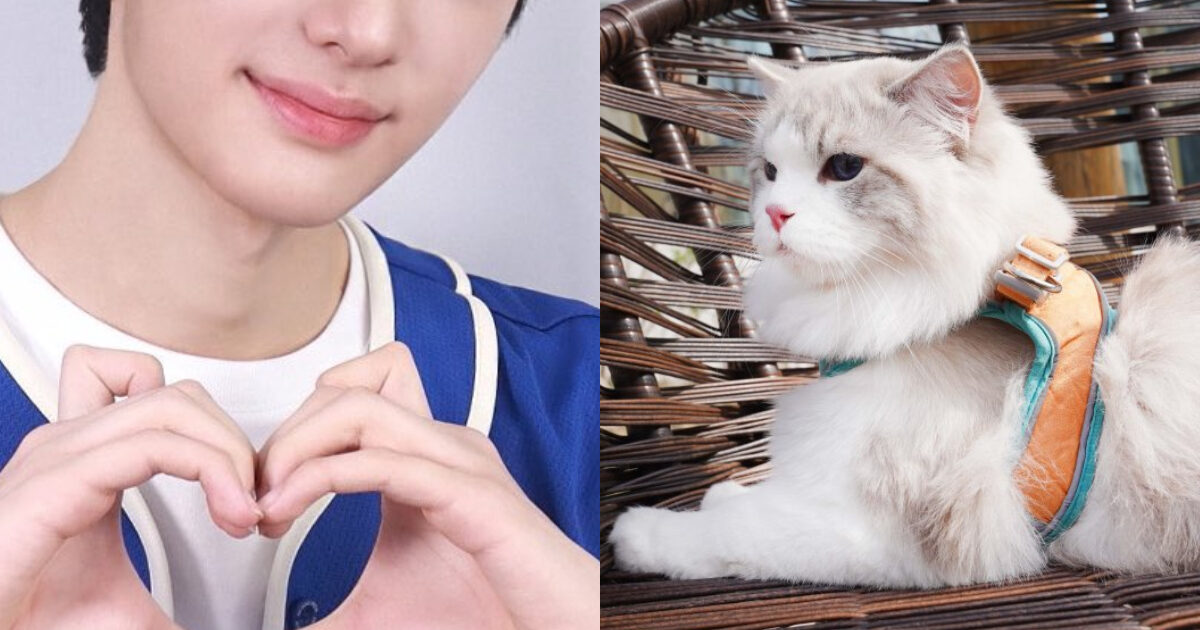 “Boys II Planet” Trainee's Response To Alleged Animal Abuse Triggers Intense Reactions