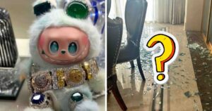 Little Boy's Tantrum Over Labubu Doll Ends In Shocking Home Disaster